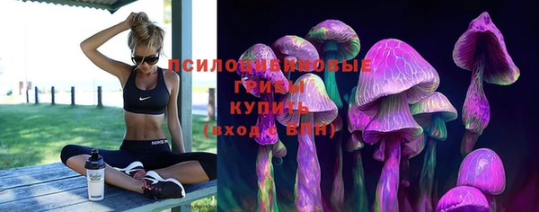 spice Абаза